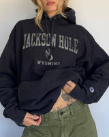 Jackson Hole Hoodie - XL